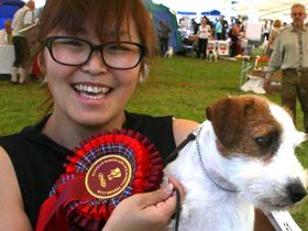 Kao Miichi from Japan of Monamour Jack Russell Terrier fame
