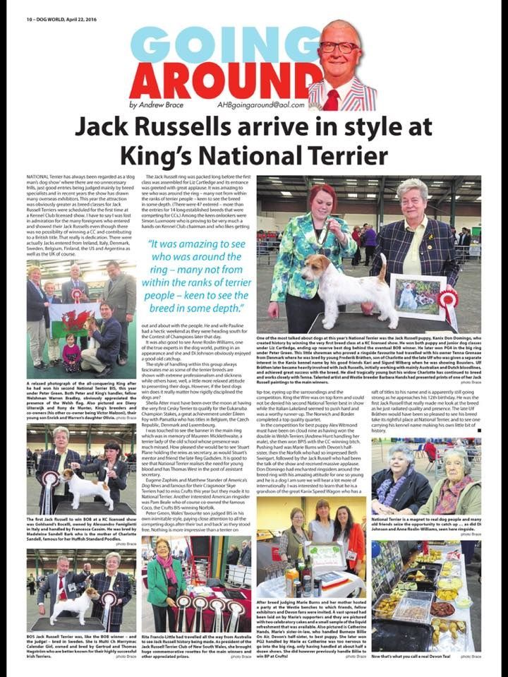 Dog World 'Going Around by Andrew Brace' feature on the first breed classes at National Terrier - April 22nd 2016